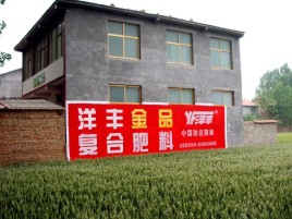 南川如何让墙体广告展现最大化效果